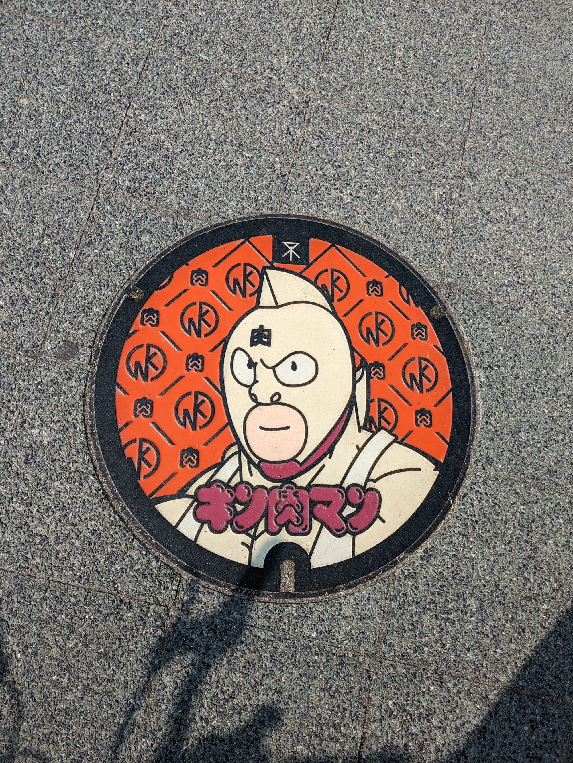 Beneath Your Feet: The World of Decorative Manhole Covers in Japan #213