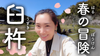 Vlog: Spring in Usuki: Discover Japan’s Hidden Gems – National Treasures & Castle Ruins